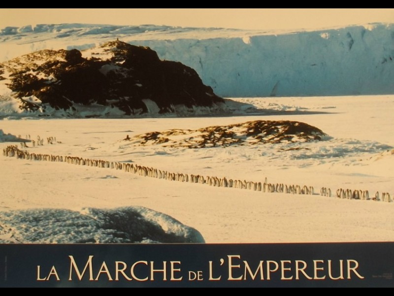 Photo du film MARCHE DE L'EMPEREUR (LA) - MARCH OF THE PENGUINS