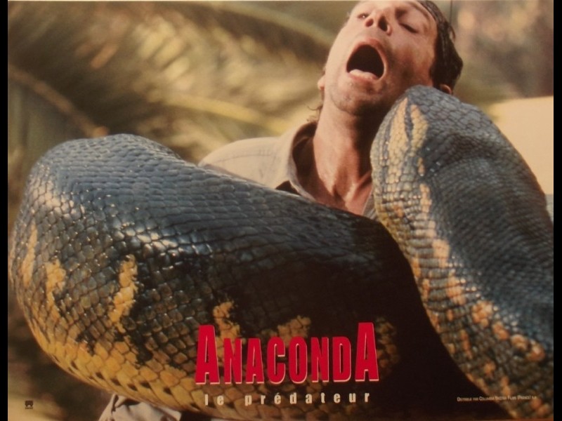 Film Anaconda Kalimantan Anaconda Gallery